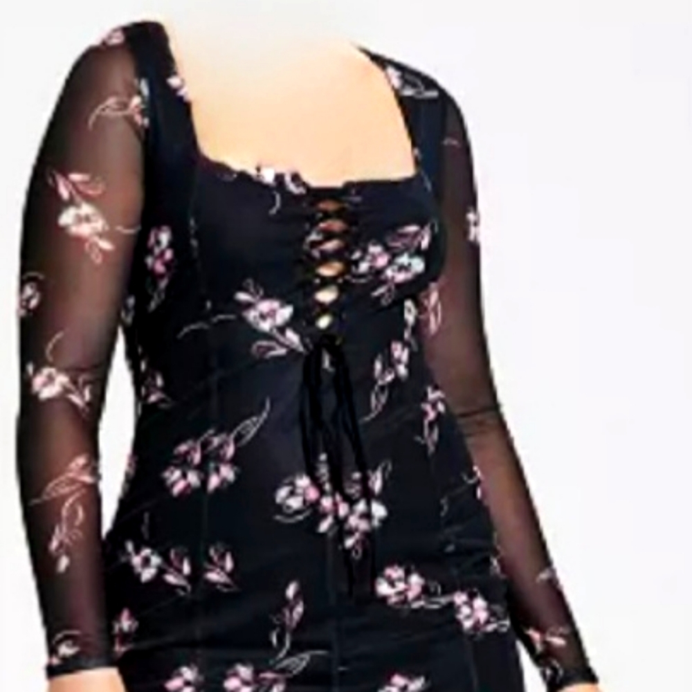 Dress-Gauzy Mesh Dress. Features lace-up bodice and semi sheer sleeve